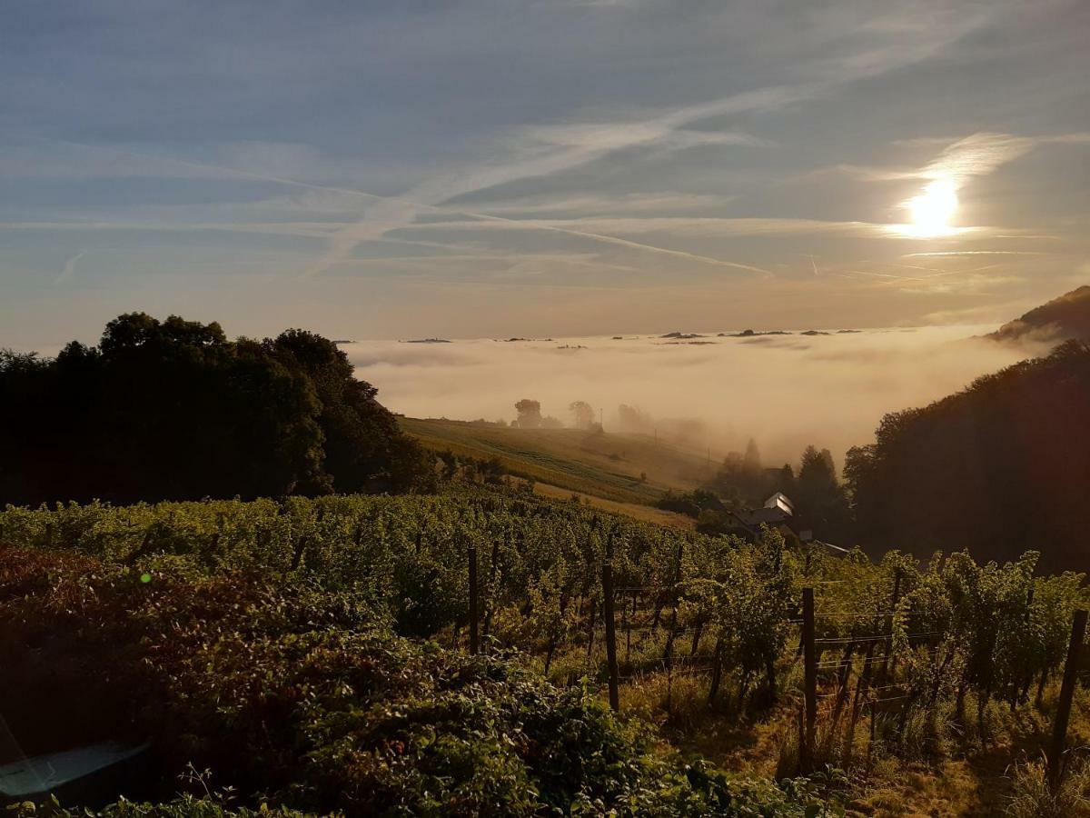 Sunrise Home Maribor Bagian luar foto